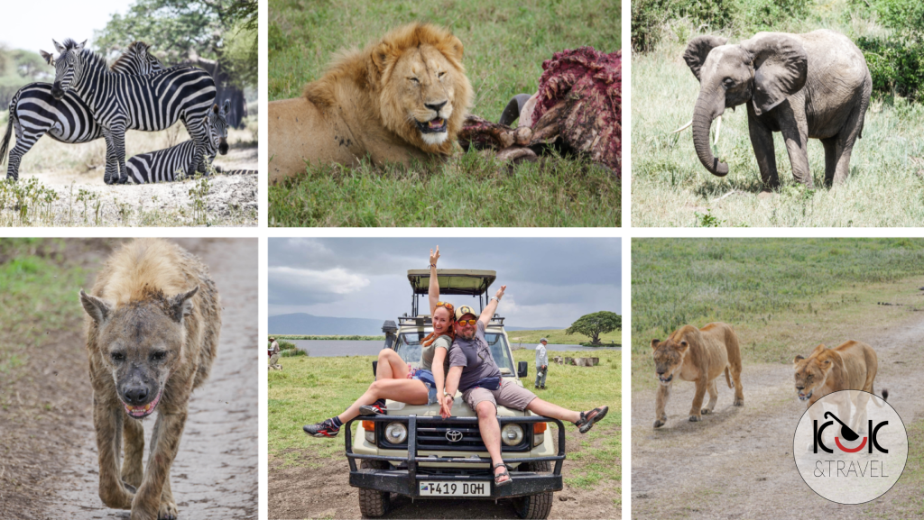 Tanzania: safari w Tarangire i Ngorongoro, czyli bliskie spotkanie z lwem
